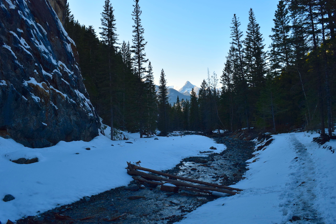 DSC_1455.JPG
