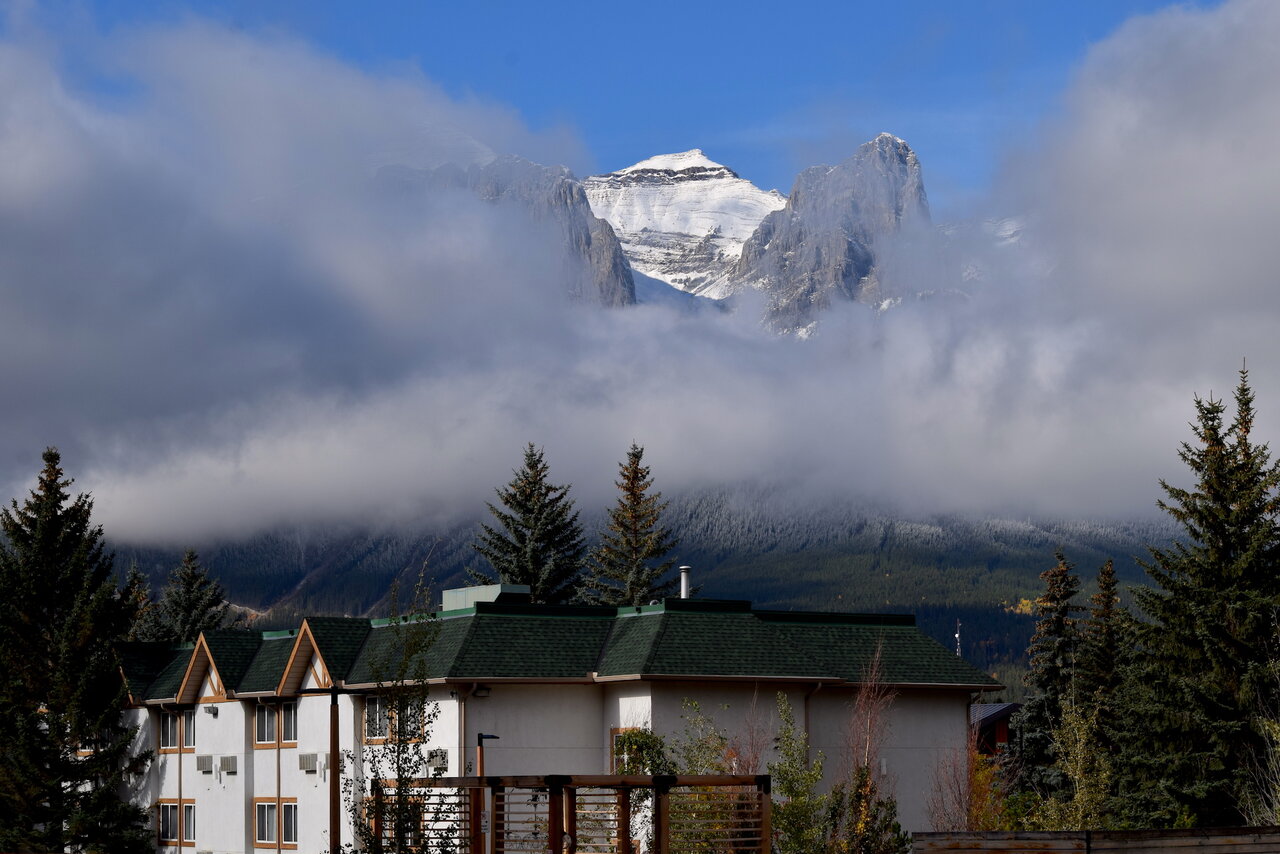 DSC_1499.JPG