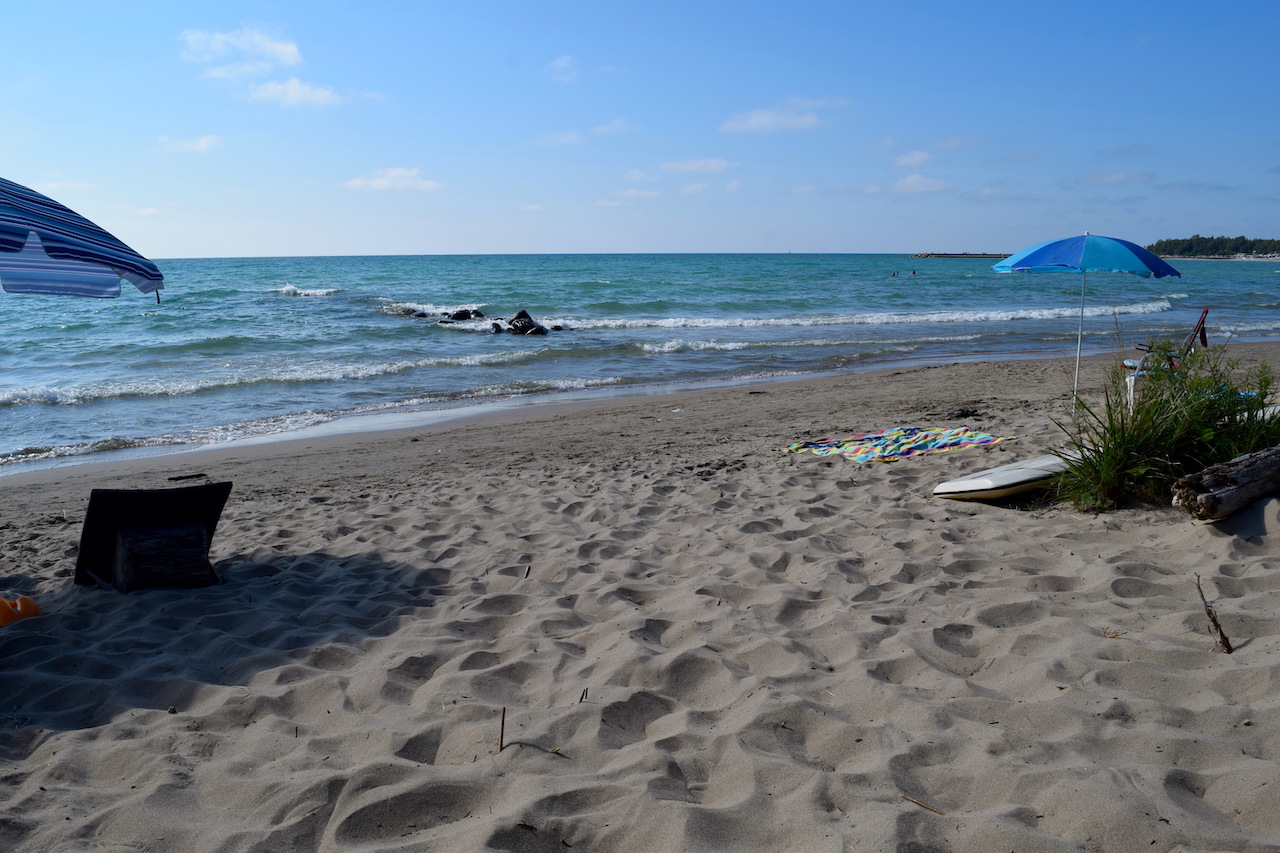 DSC_1510.JPG