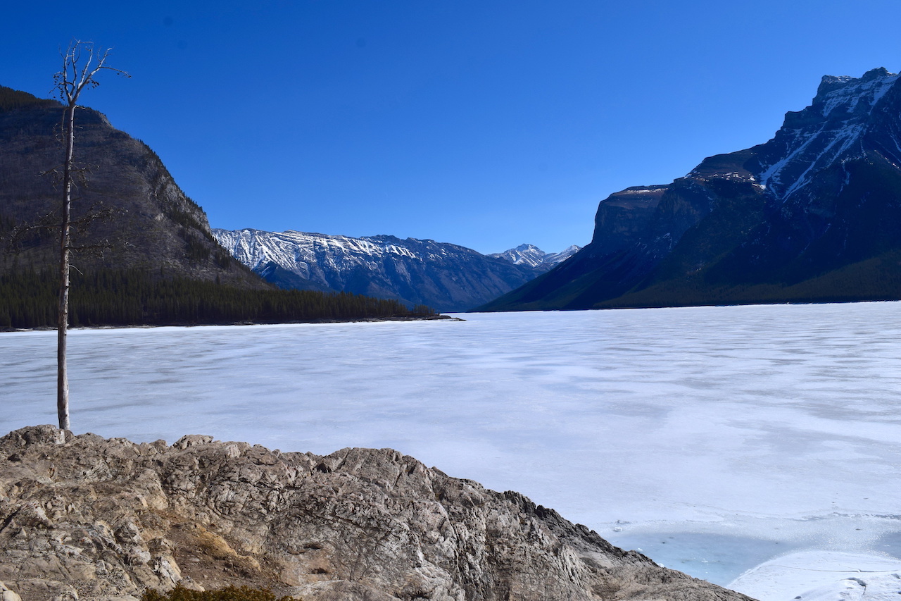 DSC_1527.JPG
