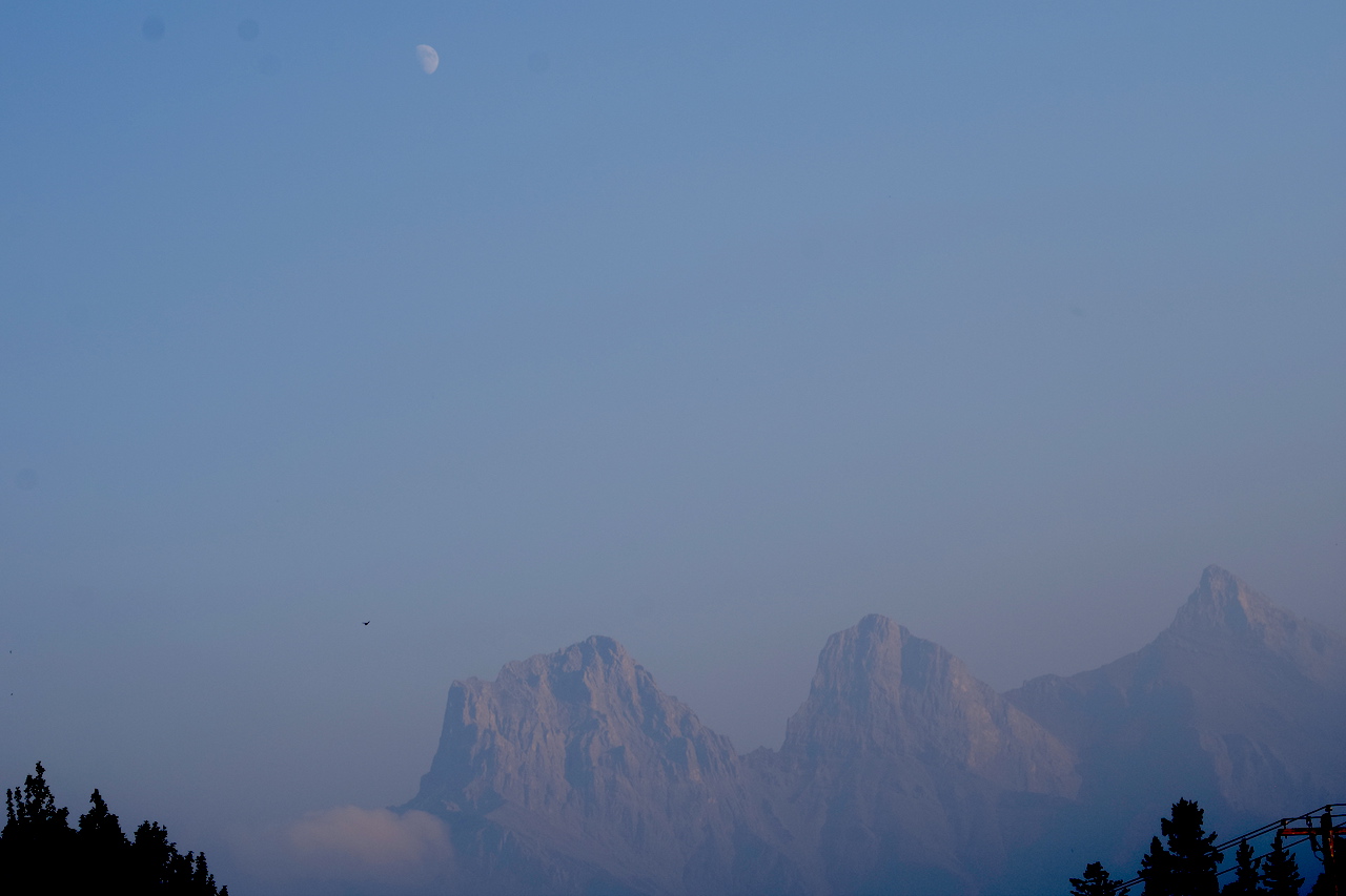 DSC_1538.JPG