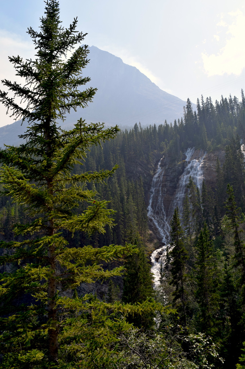 DSC_1552.JPG