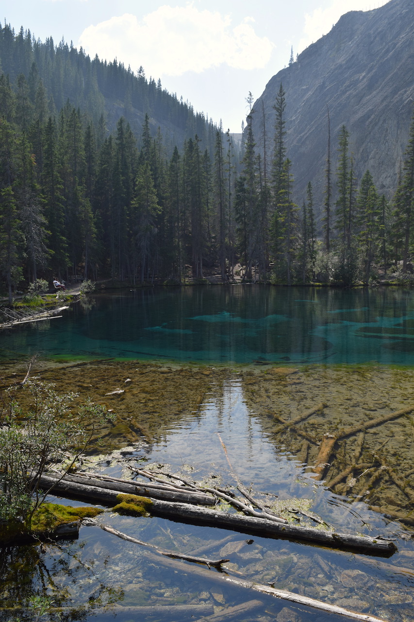 DSC_1561.JPG