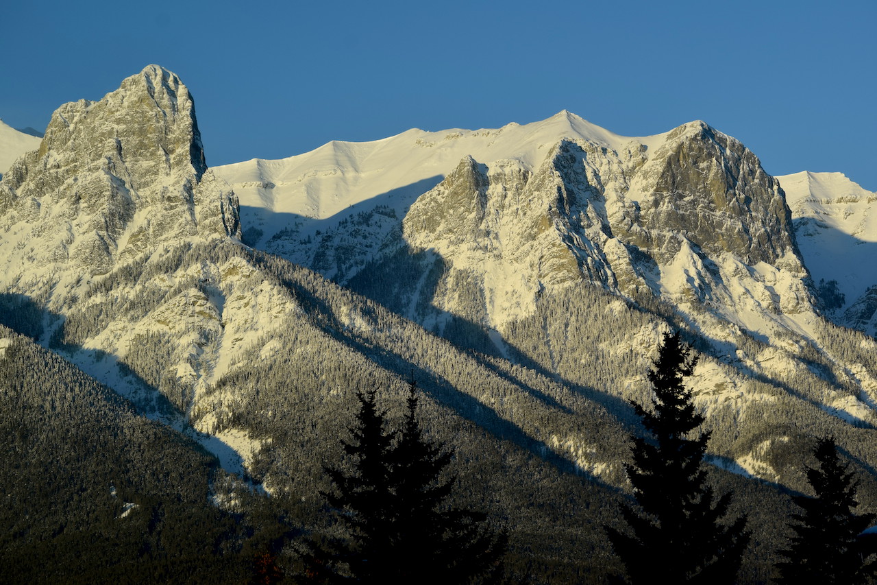 DSC_1589.JPG