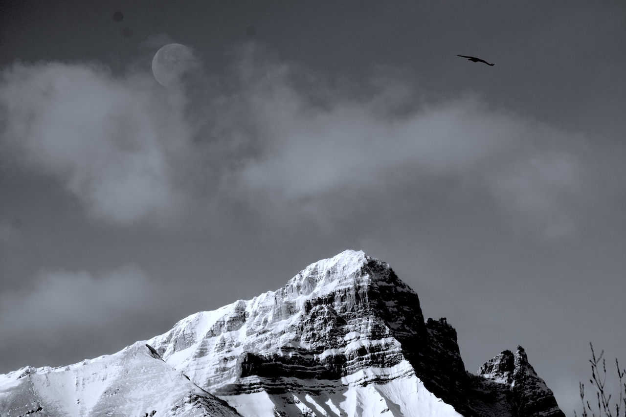 DSC_1594.JPG