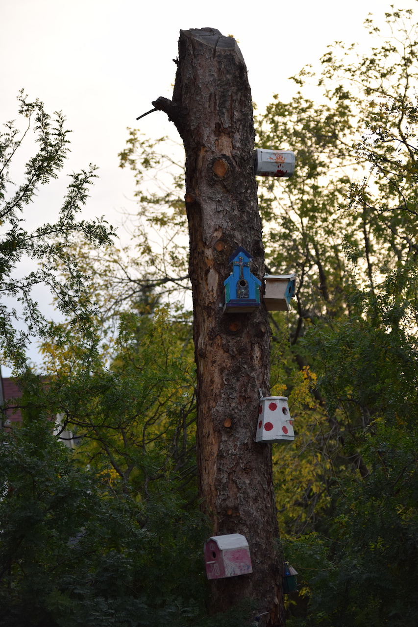DSC_2162.JPG