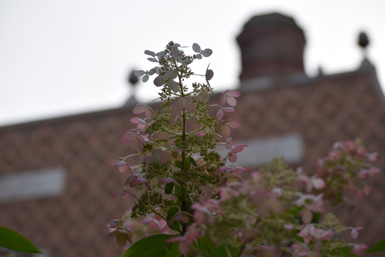 DSC_2199.JPG