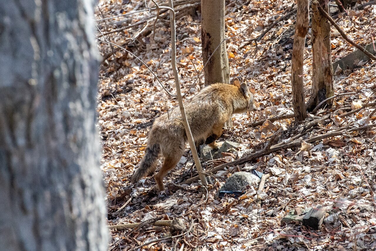DSC_4364-2.jpeg