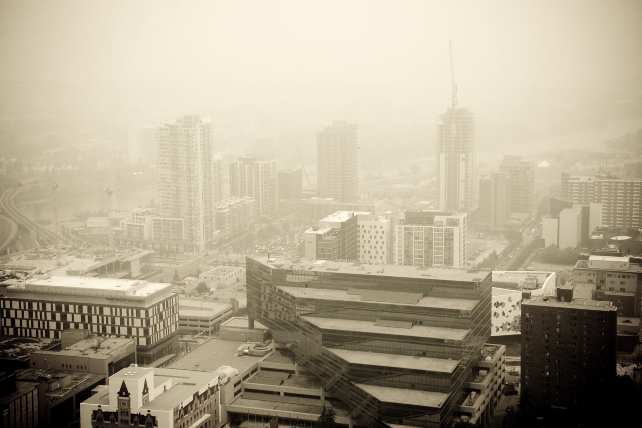 DSC_4420-2.jpg