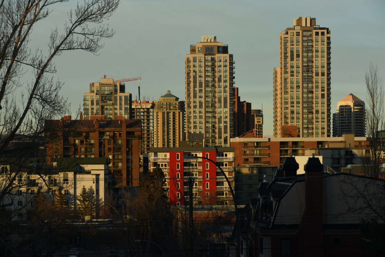 DSC_5627.JPG