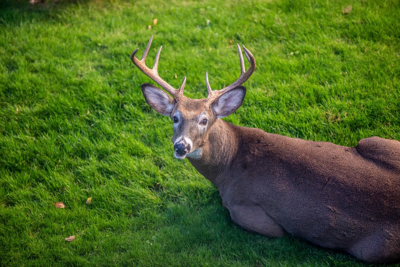DSC_5744-2.jpeg