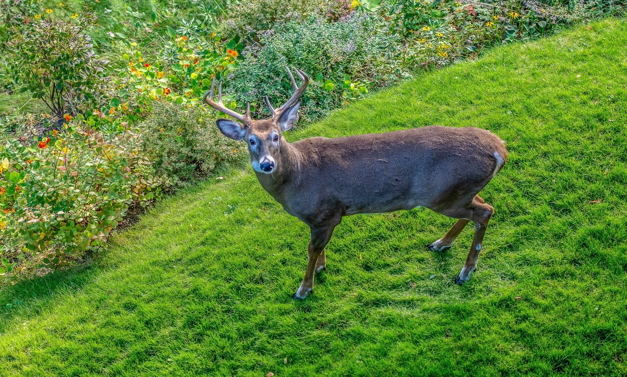 DSC_5747-2.jpeg