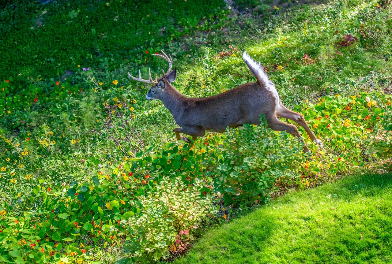 DSC_5750.jpeg