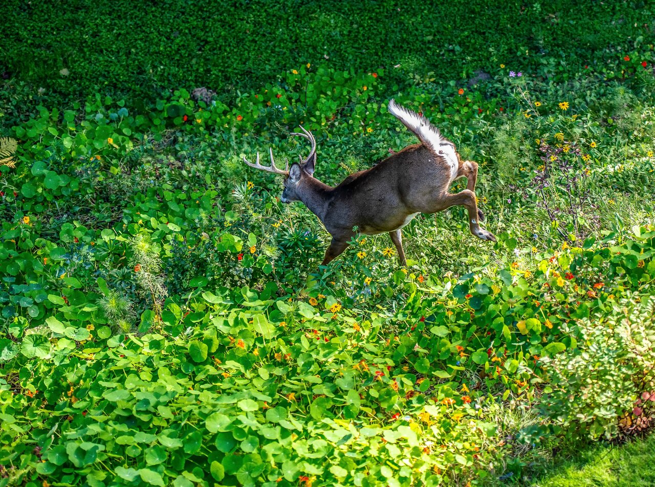 DSC_5752.jpeg