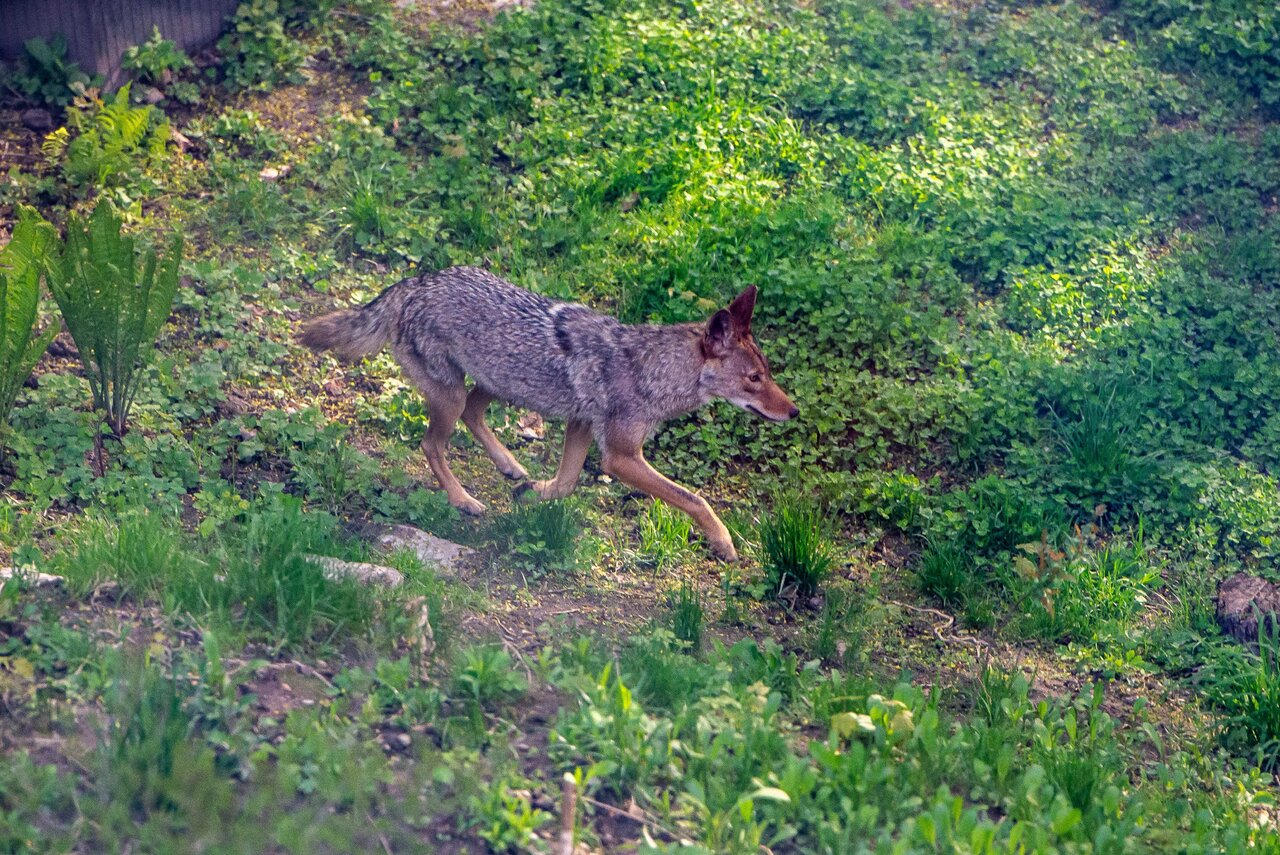 DSC_7497.jpeg