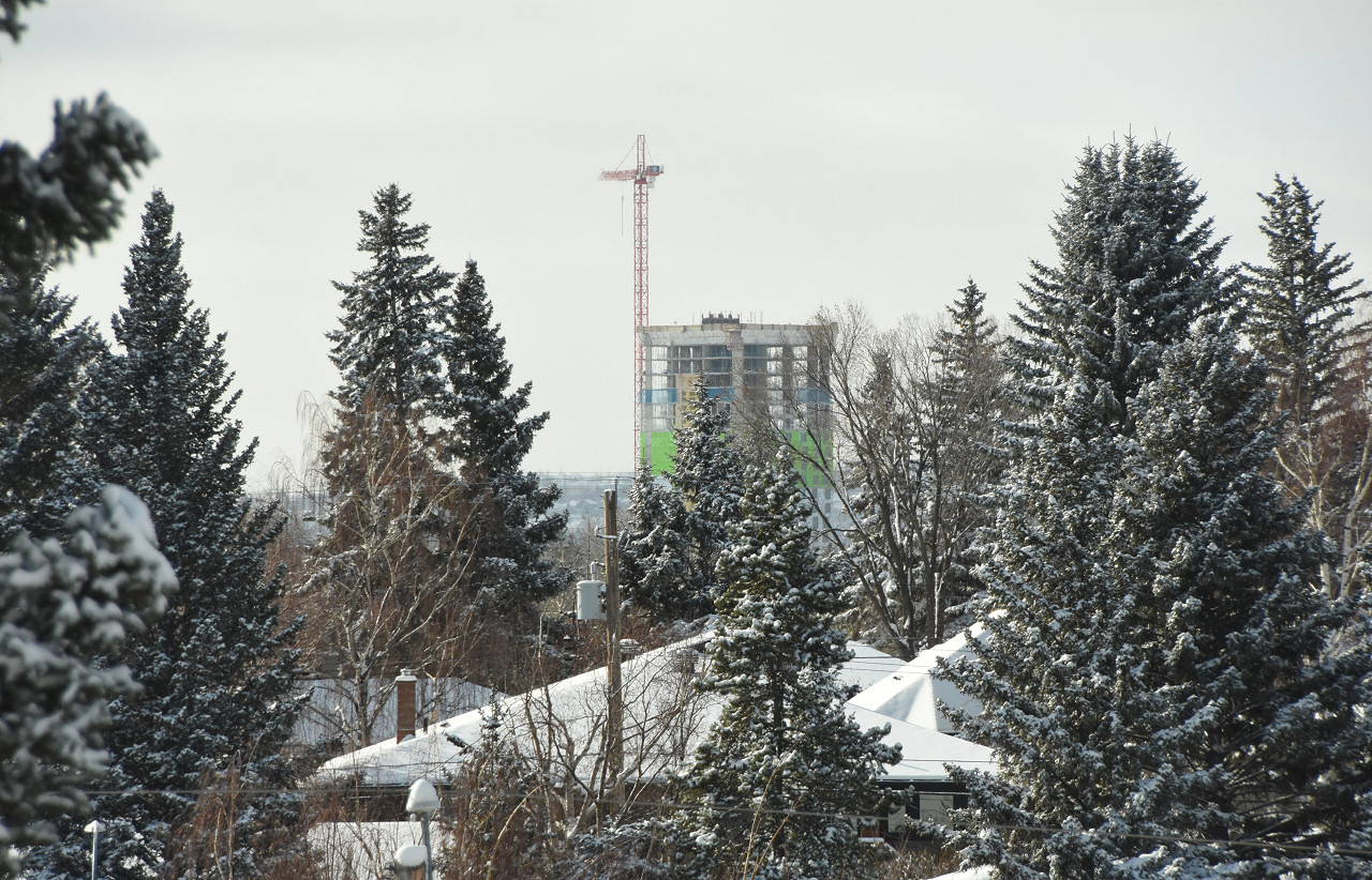 DSC_7683.JPG