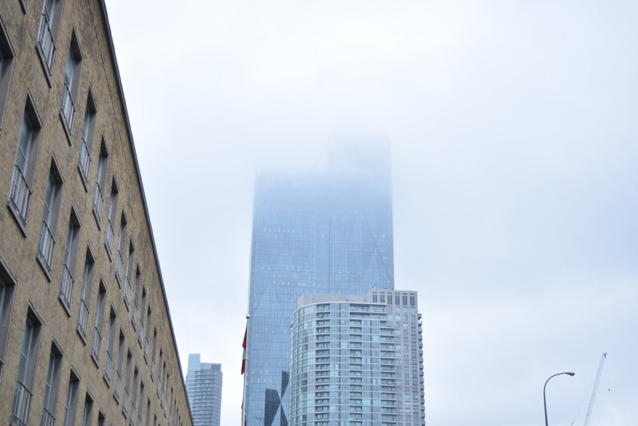DSC_7899.JPG