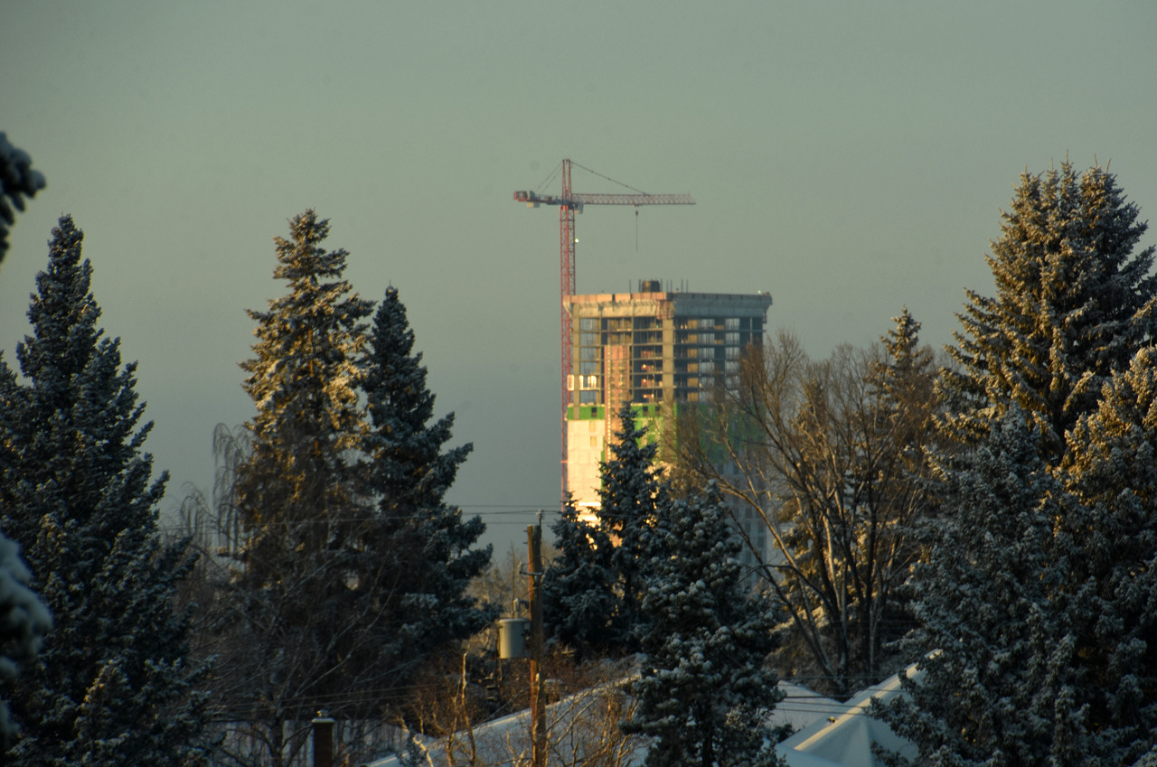 DSC_7950.JPG