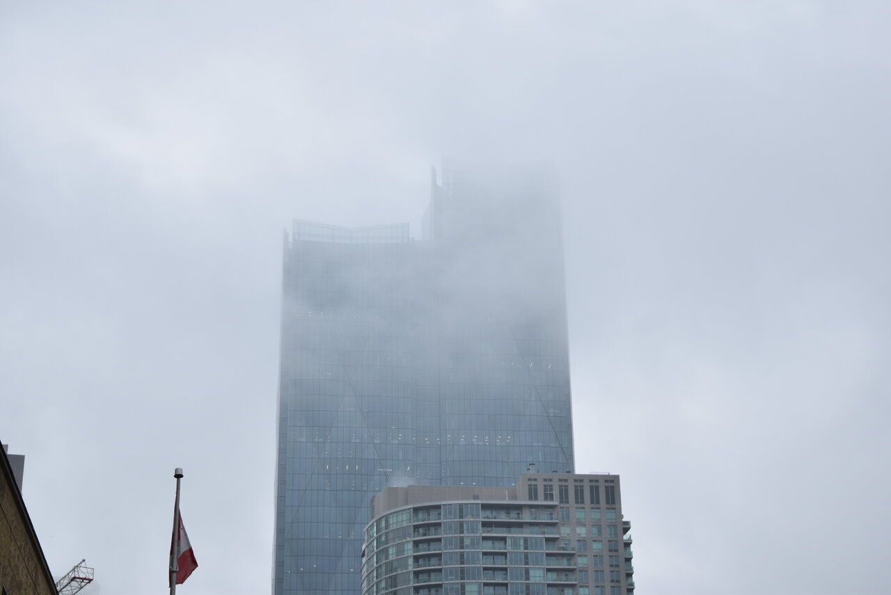 DSC_7999.JPG