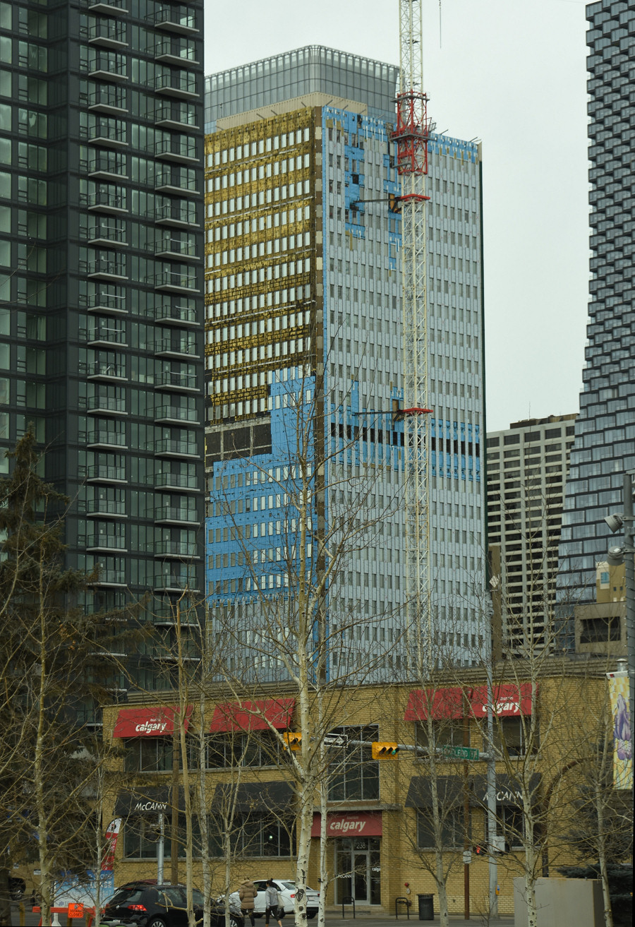 DSC_8100.JPG