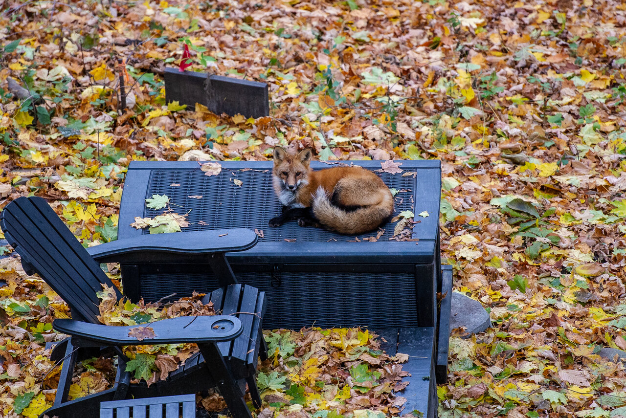 DSC_8170.jpeg
