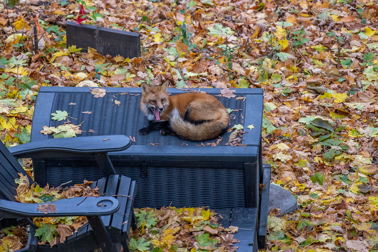 DSC_8171.jpeg