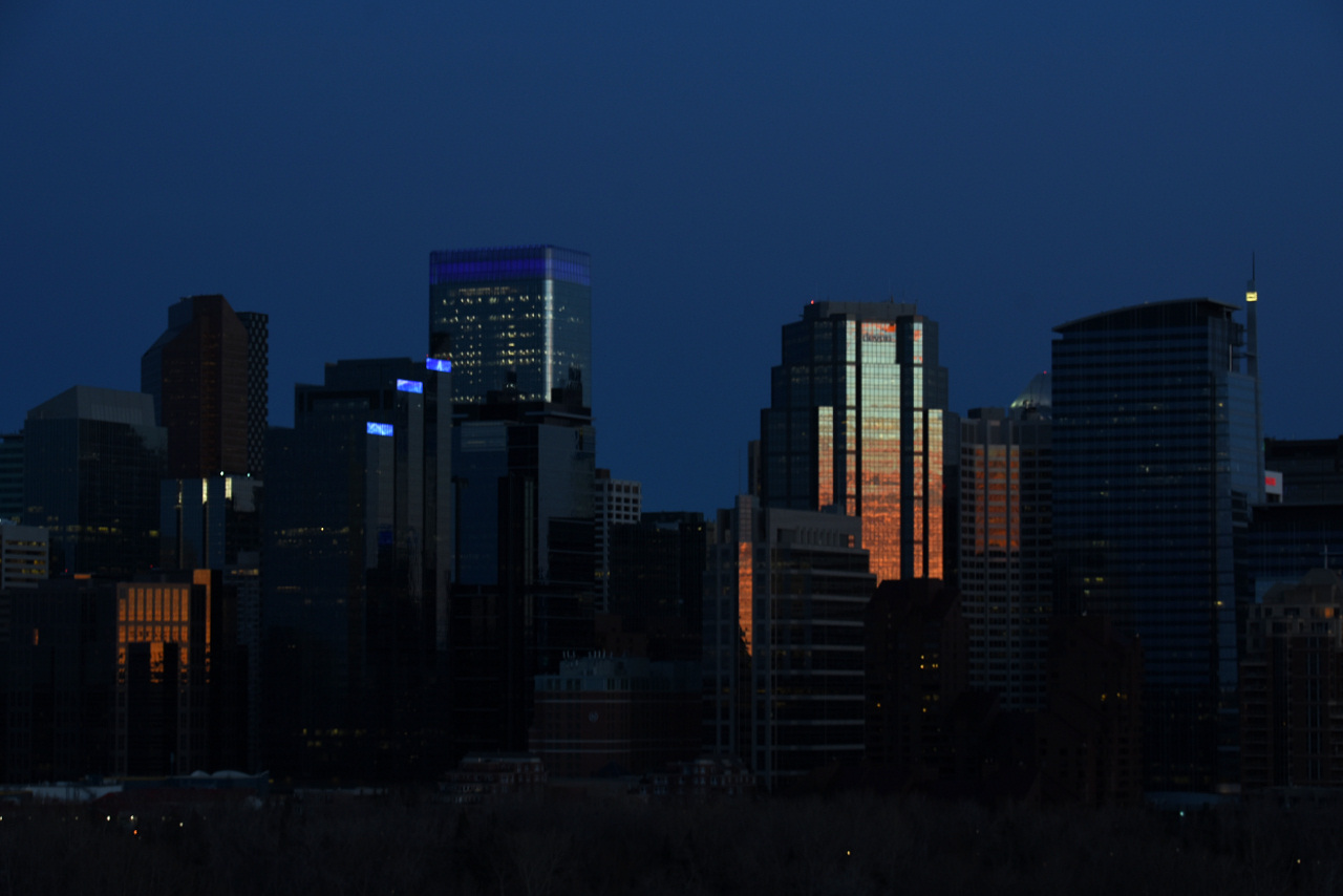 DSC_8334.JPG