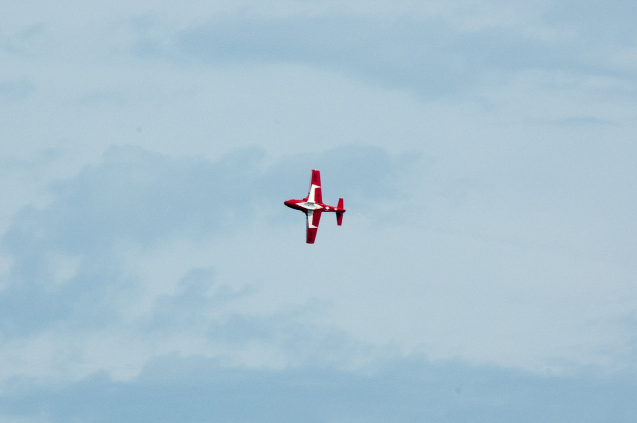 DSC_8353.jpg