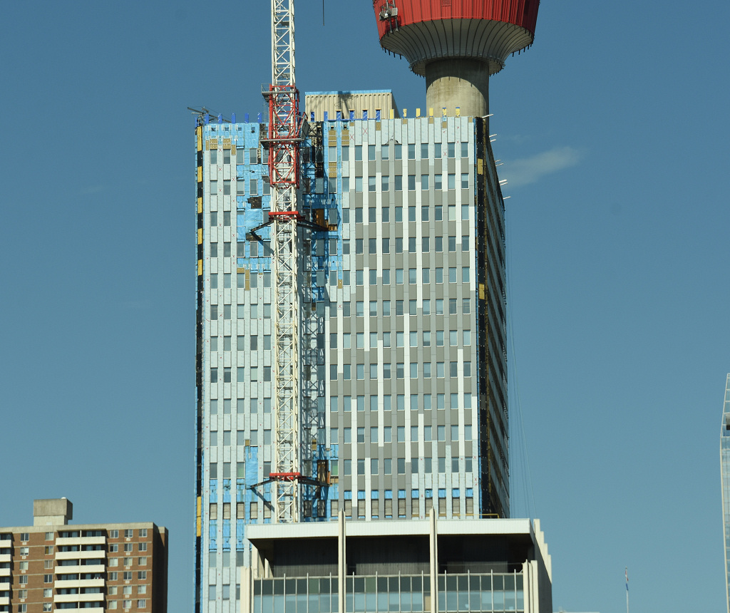 DSC_8441.JPG