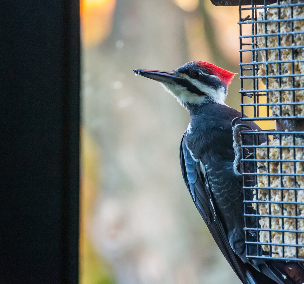 DSC_9422-2.jpeg