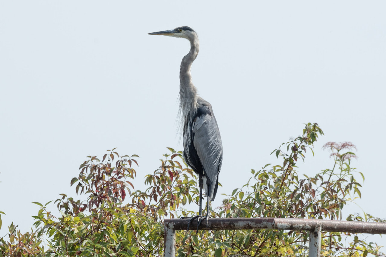DSC_9834.jpg