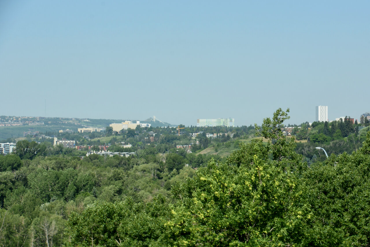 DSC_9965 - Copy.JPG