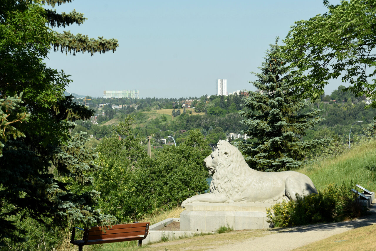 DSC_9969 - Copy.JPG