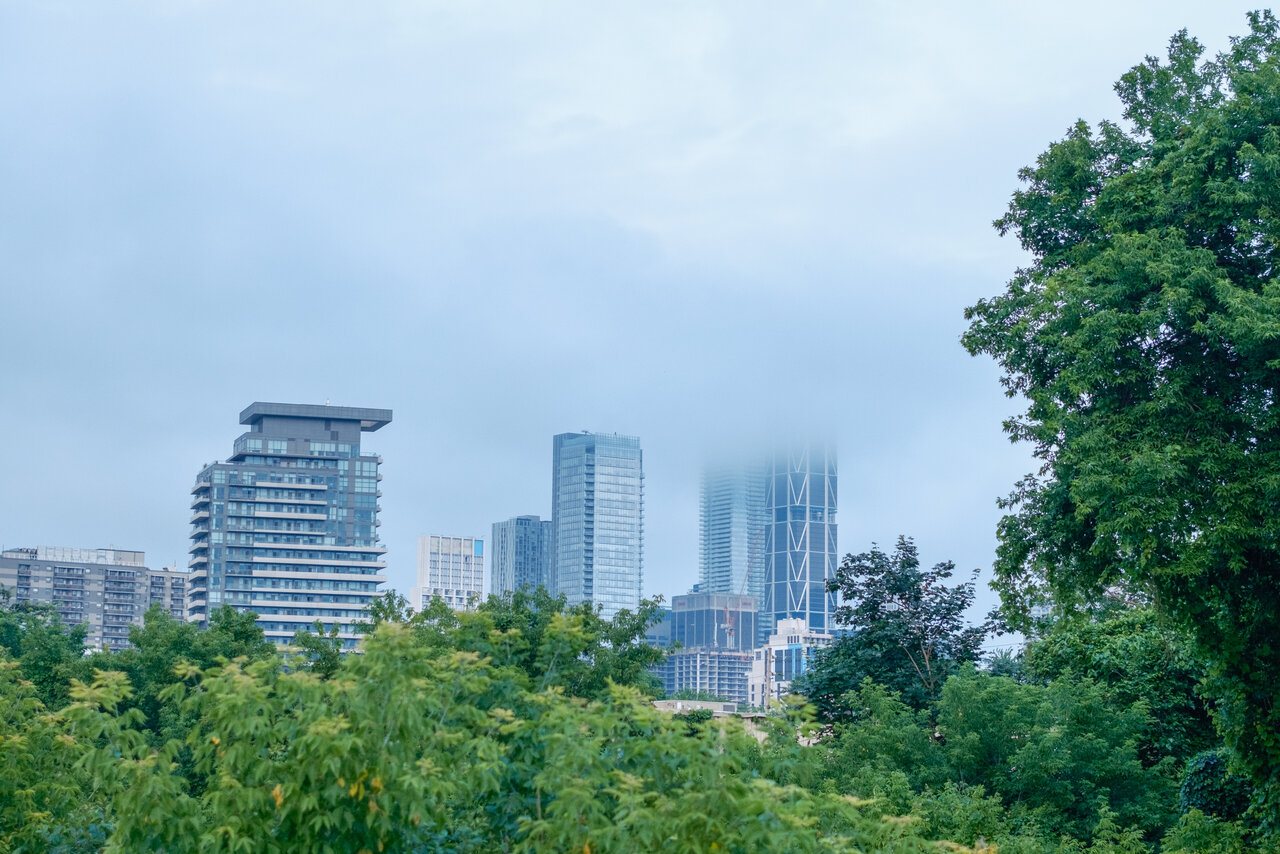 DSCF0229-2.jpg
