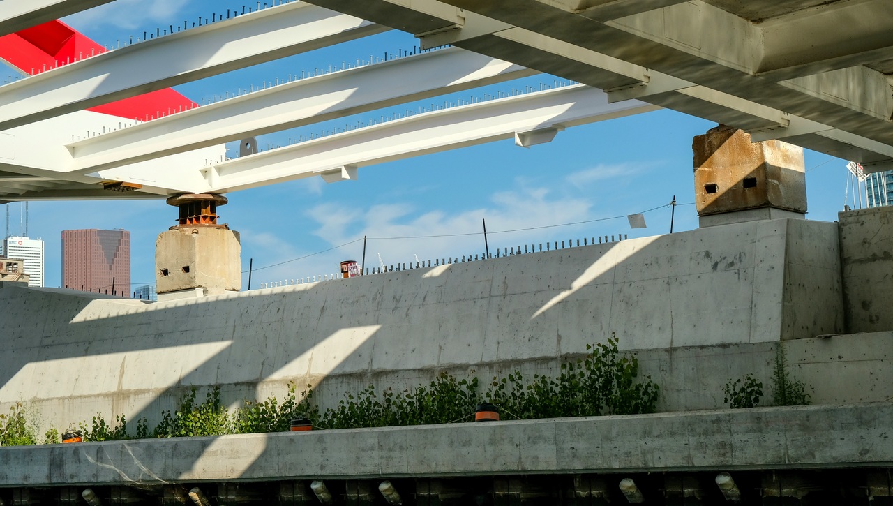 DSCF5250.jpg