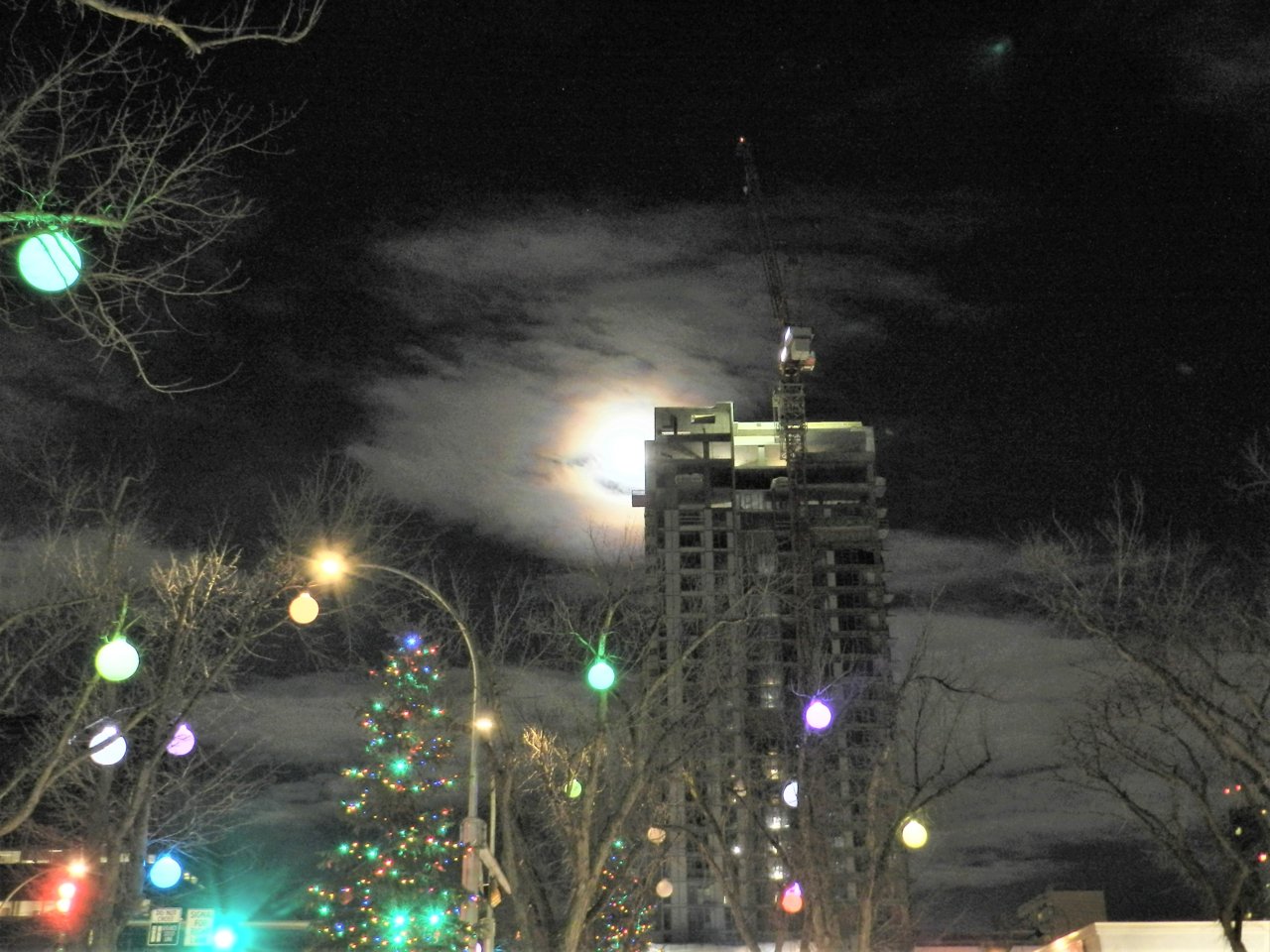 DSCN0529.JPG