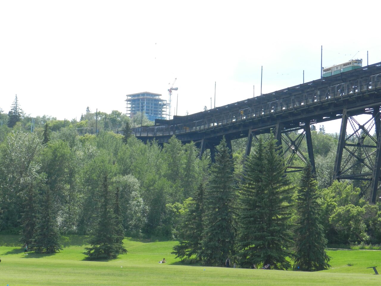 DSCN3436.JPG