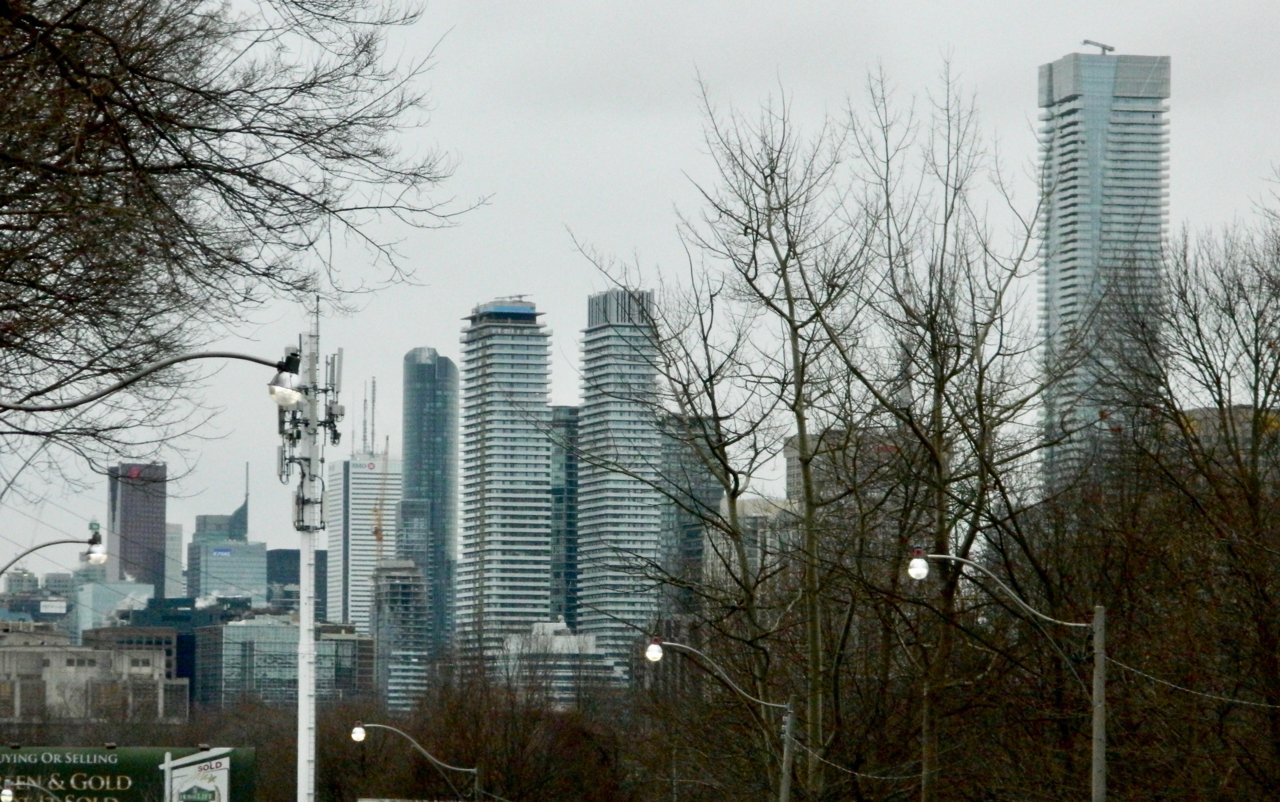DSCN5536.jpg
