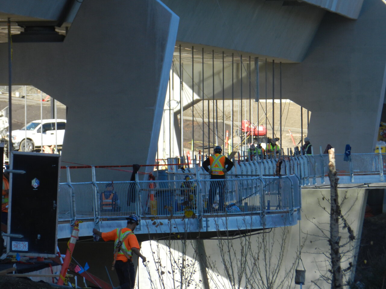 DSCN7801.JPG