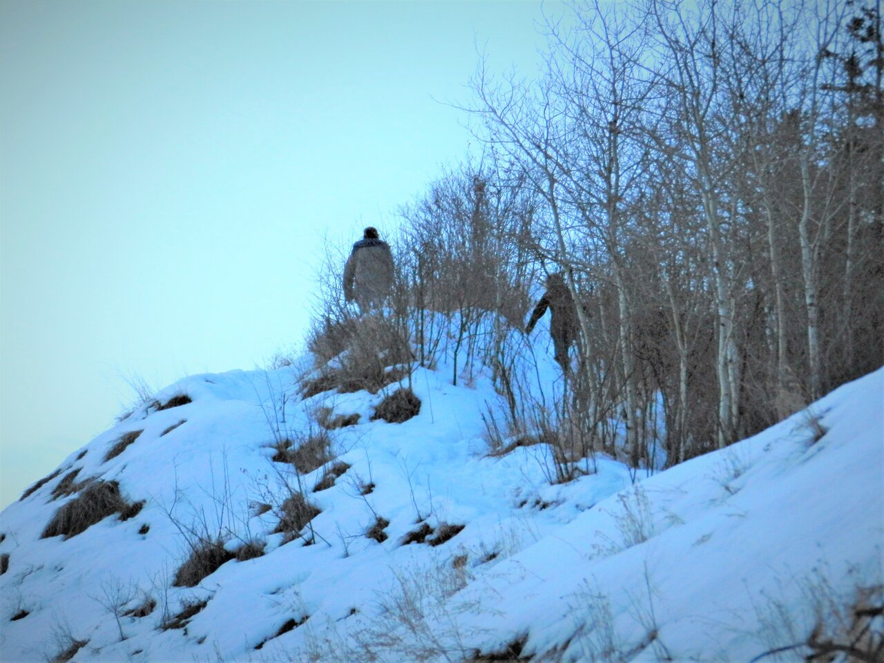 DSCN8658.JPG