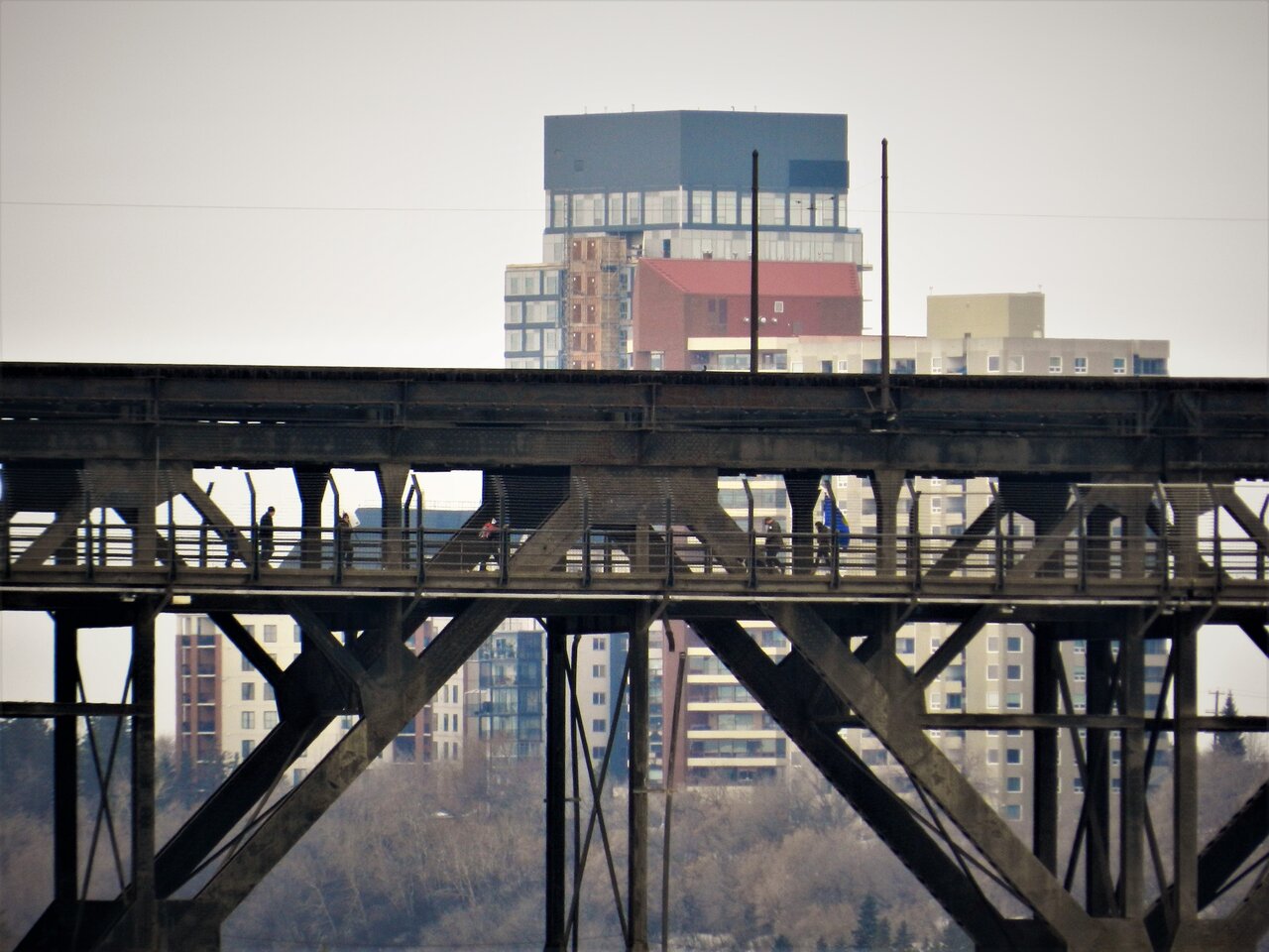 DSCN8747.JPG