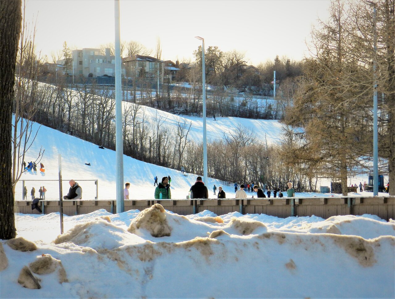 DSCN8990.JPG