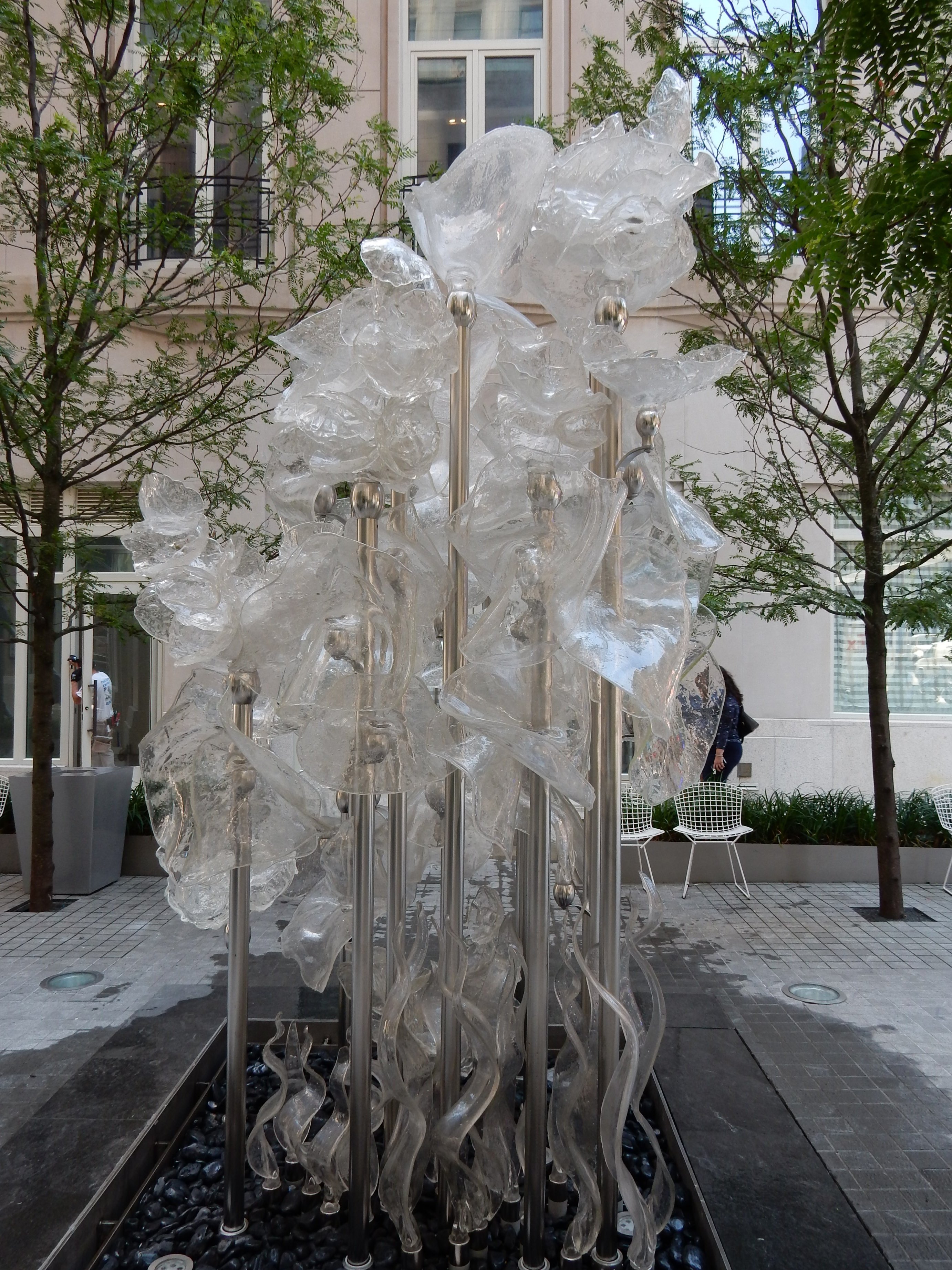 DSCN9126.JPG
