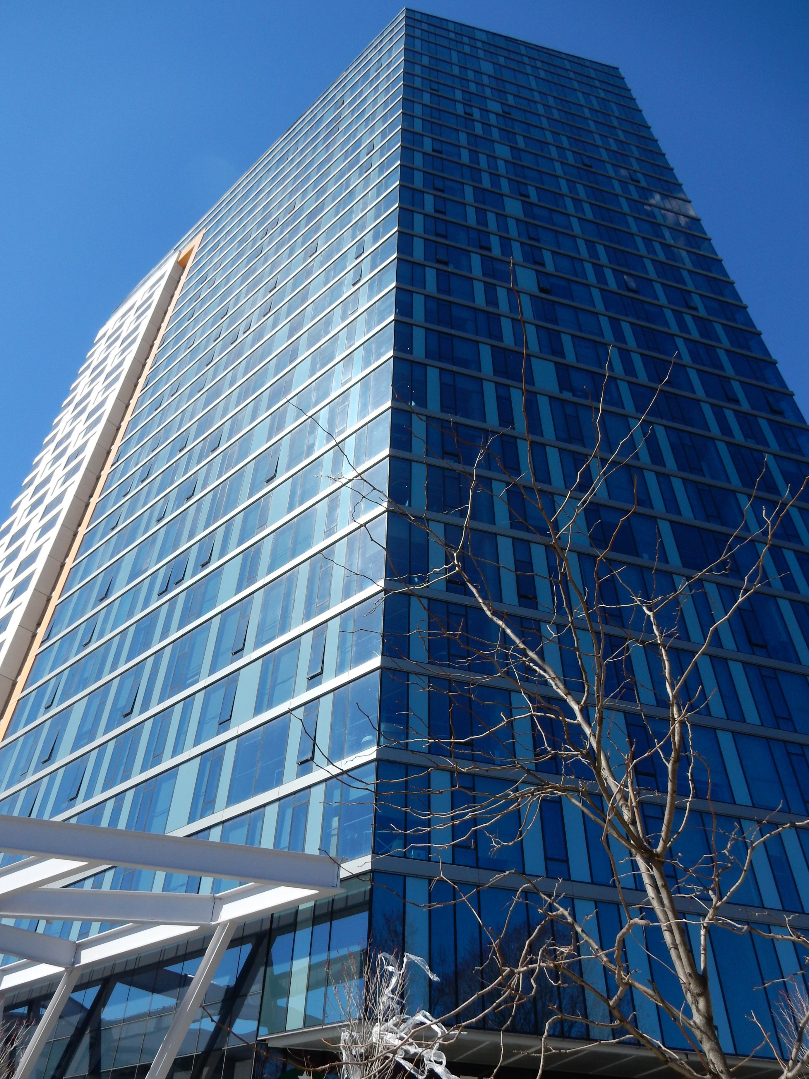 DSCN9168.JPG