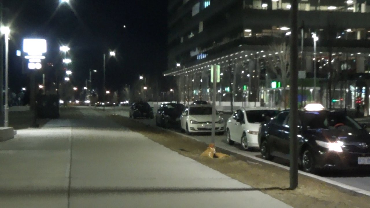 e1.jpg