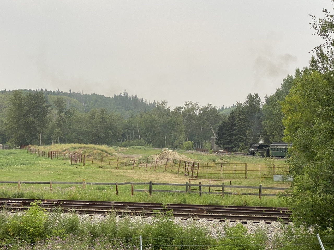 ED12E046-B07C-45EA-BD3A-F04C00939465.jpeg
