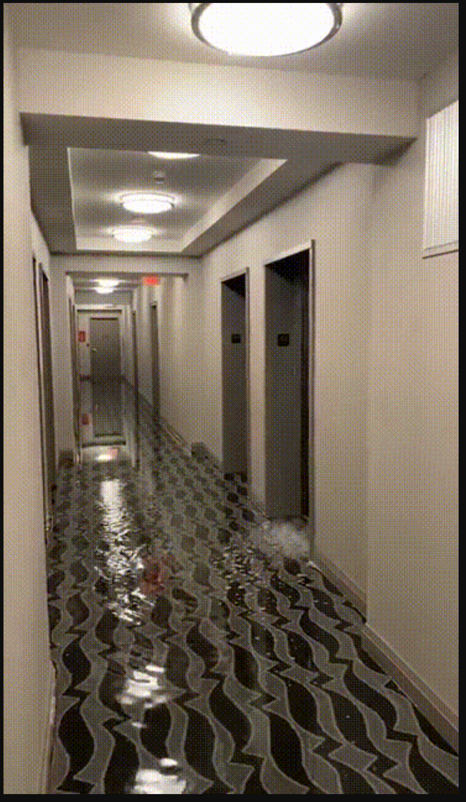 EmeraldPark_HallwayFlood2.PNG