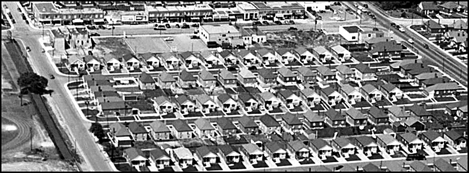 EY %22cookie-cutter%22 homes 1953 TPL.jpg