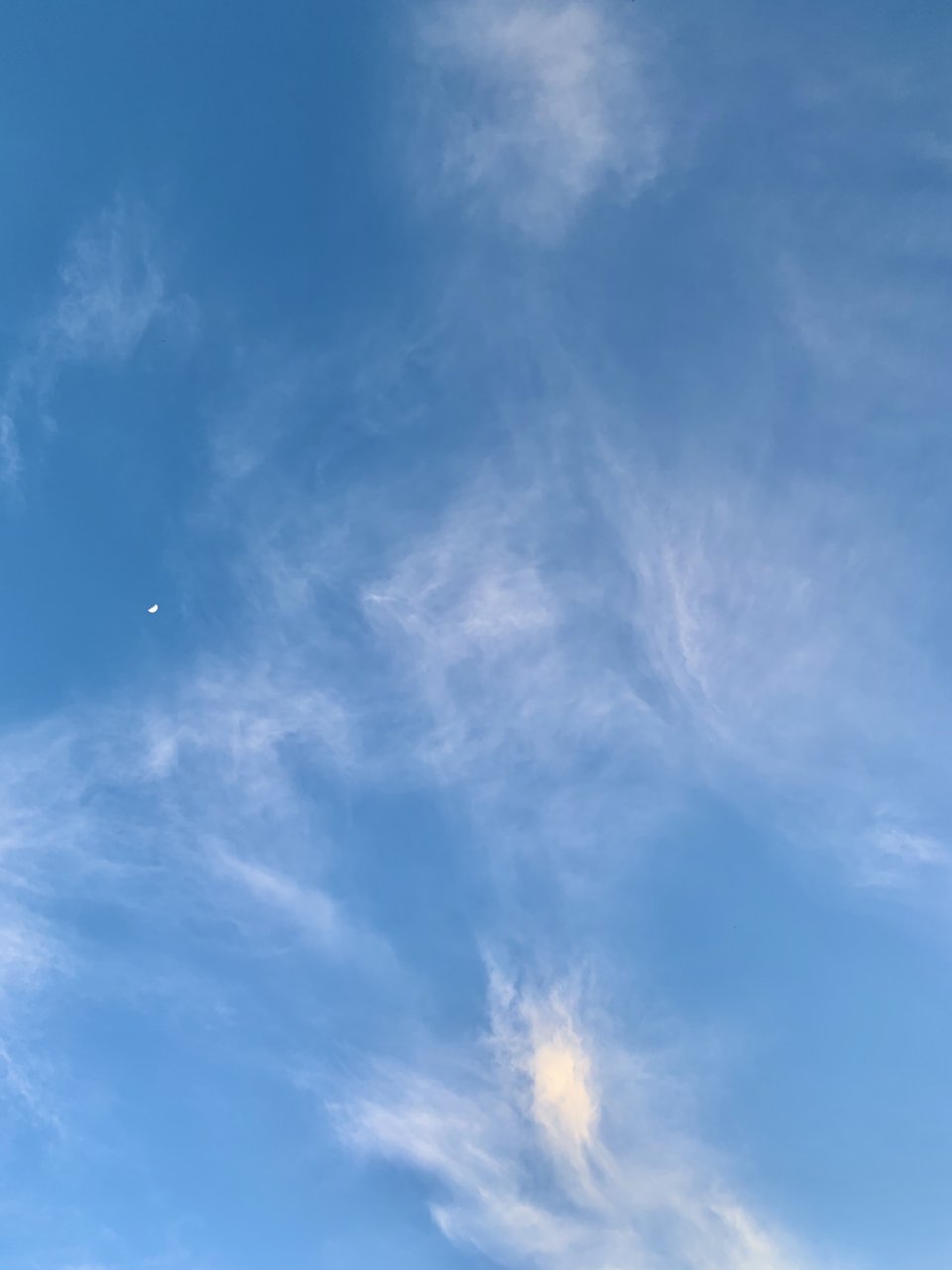 F21DCB47-BEE4-4DEB-AA2E-1D05484801A5.jpeg