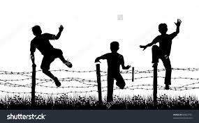 fences.jpg
